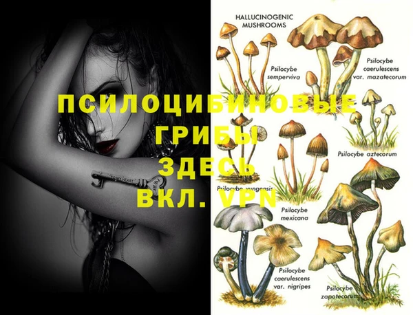 прущая мука Мегион