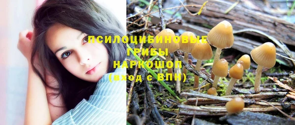 сатива Медвежьегорск