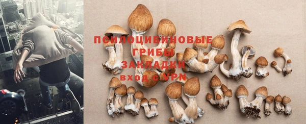 прущая мука Мегион